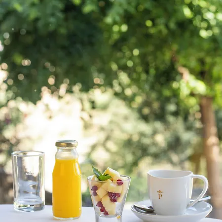 호텔 파라도르 데